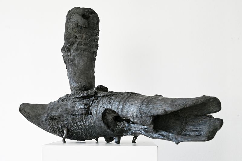 csm F.SeifertTREIBGUT Bambuswurzel Puppenbeine 2025 Laenge ca. 72 cm 1 ce416da48c