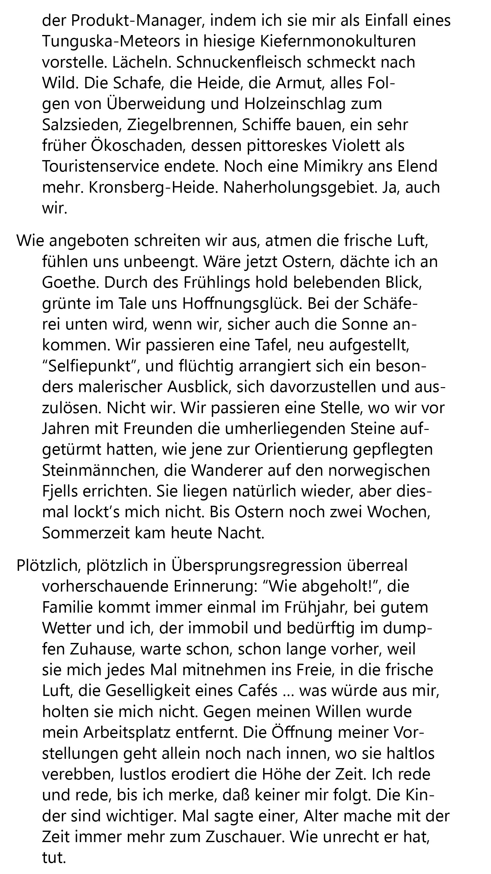 Heidschnucken 2