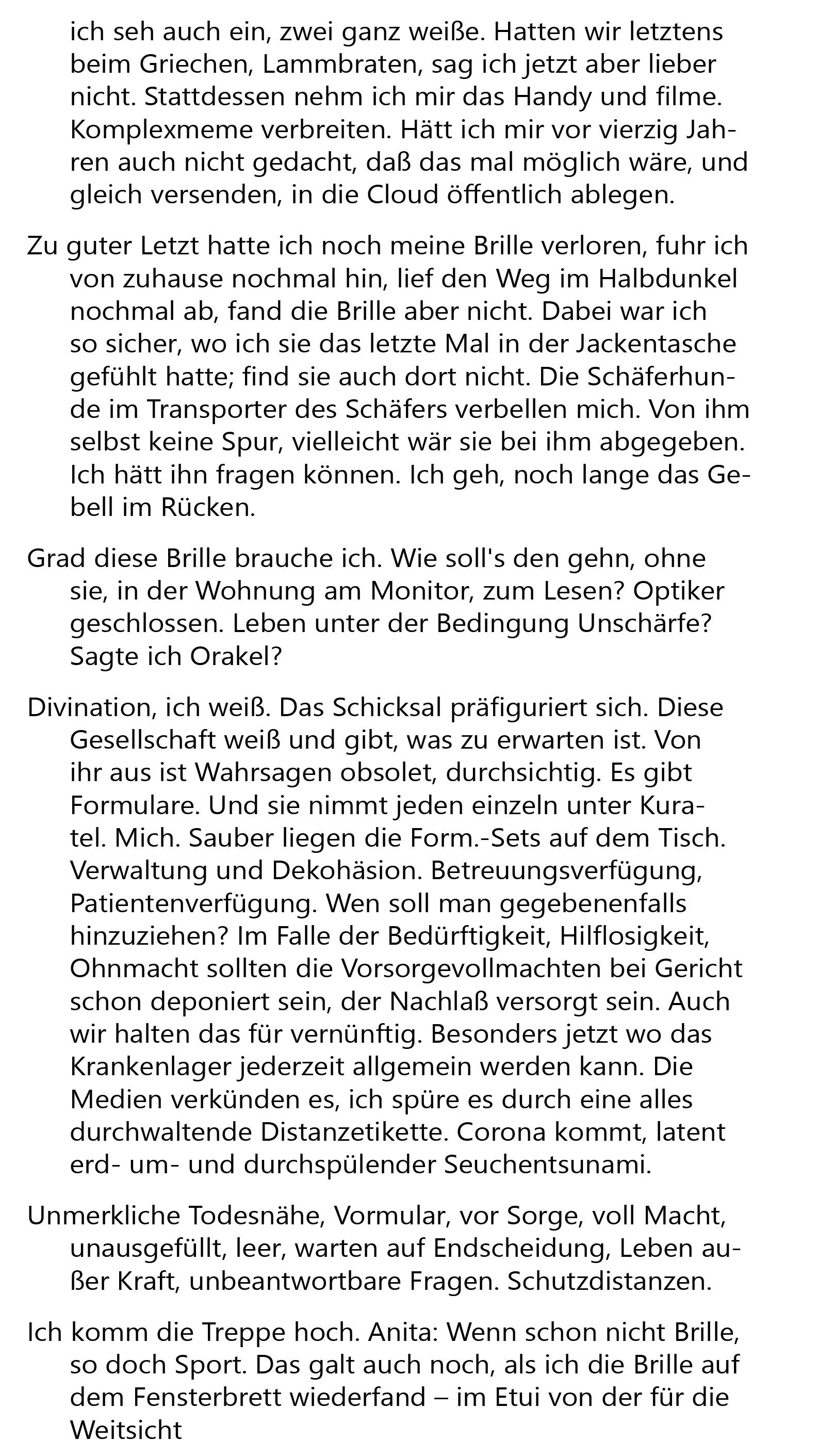 Heidschnucken 4